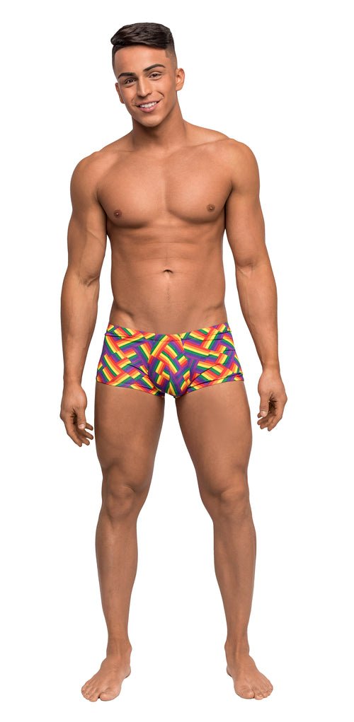 Pride Fest - Mini Short - Large - PrintLingerie & Underwear - Rise and Effect